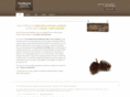 coloradomountainvillas.com