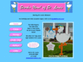 storksnow.com