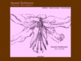 suzannstotlemyer.com