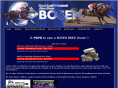 bosenhorse.com