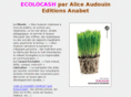 ecolocash.com