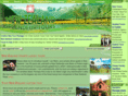 nzst.co.nz