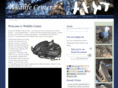 wildlife-center.com