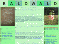 baldwald.de