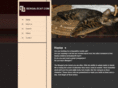 bengalscat.com