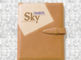 sky-spa.com