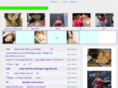 toyalgroup.com