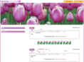 winaducati.com