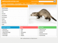 baltoferret.com