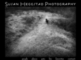 susanportraits.com
