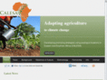 calesa-project.net