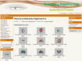 embroiderydigitizingrus.net
