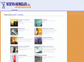 nuevoavimelux.com