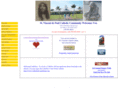 stvincentftmyers.org