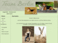teamberlin.net