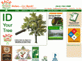 backtree.com