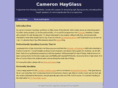chayglass.com