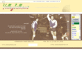 volleyballnews.net