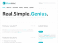 blueminc.com