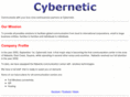 cyberneticgy.com
