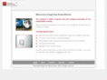 eagleeyebrakemonitor.com