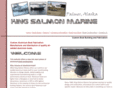 kingsalmonmarine.net