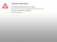 kurt-sprung.de