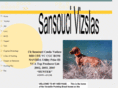 sansoucivizslas.com