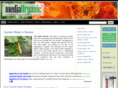 media-organic.com