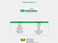 viraniinsurance.com