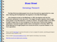 bluezstreet.com