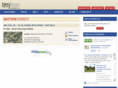 howeauction.com