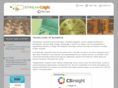 streamlogicinc.com