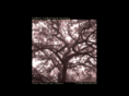 swafford.org
