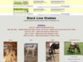 blacklinestables.com