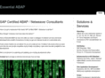 essentialabap.com