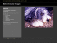 malcolmlaneimages.com