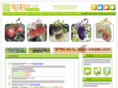 syun-sai.net