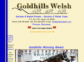 goldhillswelsh.com