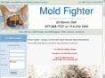 moldlosangeles.org
