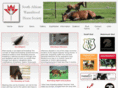 sawarmbloodhorses.com