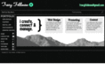 tracyfeldman.com