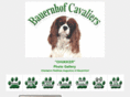 bauernhofcavaliers.com