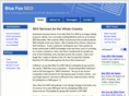 bluefoxseo.com