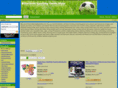 discountsportinggoodsshop.com