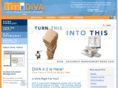 divasolutions.com