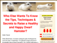 mydwarfhamster.com