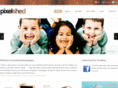 thepixelshed.com
