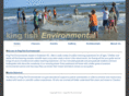 kingfishenvironmental.com