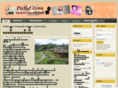 patid.com